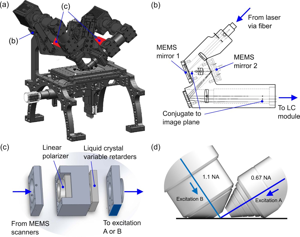 Talon Chandler tweet media