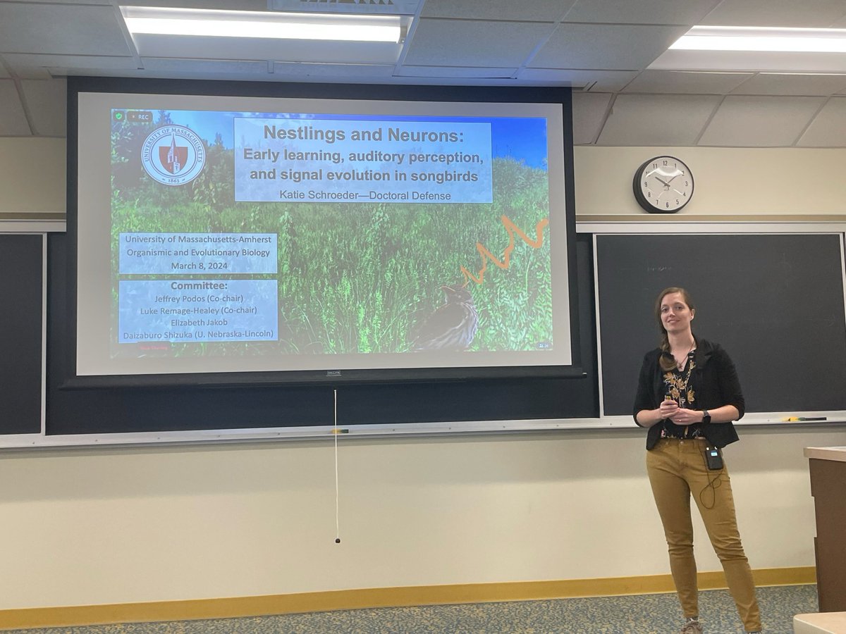 Katie Schroeder tweet media