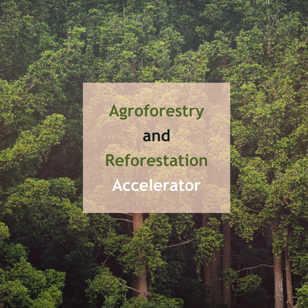 Agroforestry and Reforestation Accelerator: This project's objective is to build a public-private partnership for restoration through #agroforestry systems with cocoa and active restoration for #carbon sequestration. Learn more 👉 bit.ly/3QPRvXA #TreesPeoplePlanet