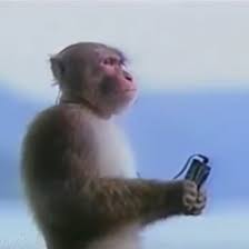 APE coin #SOLANA tweet media