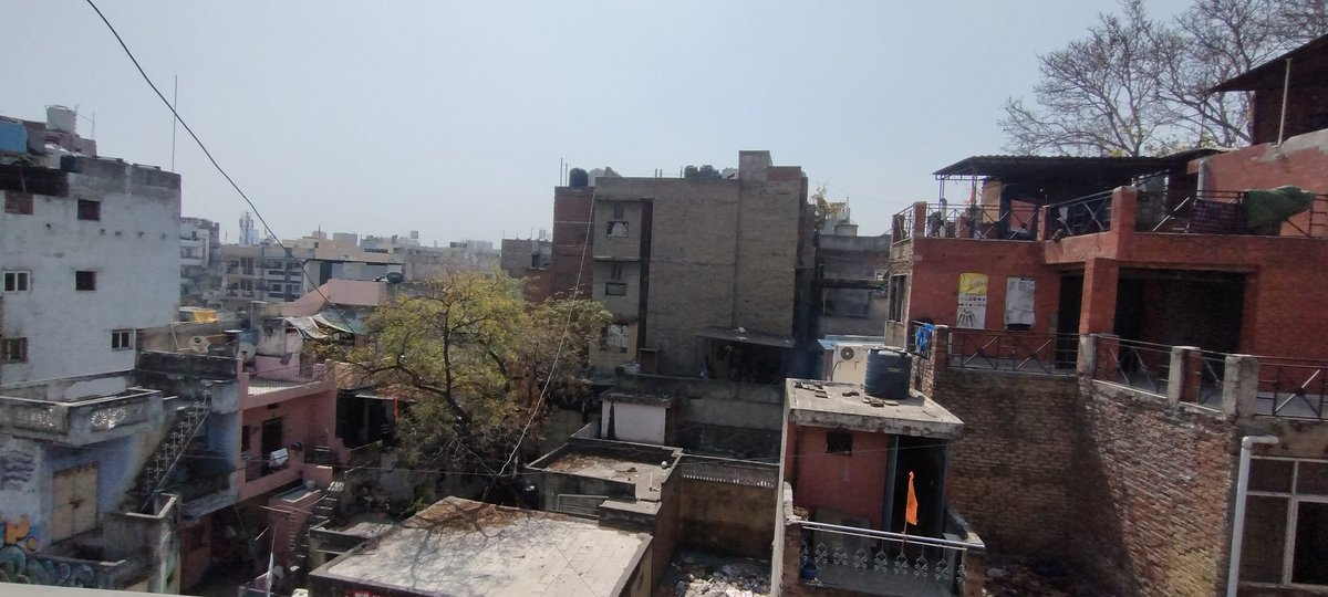 Looking across the rooftops from my digs in Delhi. Only here one night, but happy with the view, featuring as it does a tree growing out of a wall. #tree