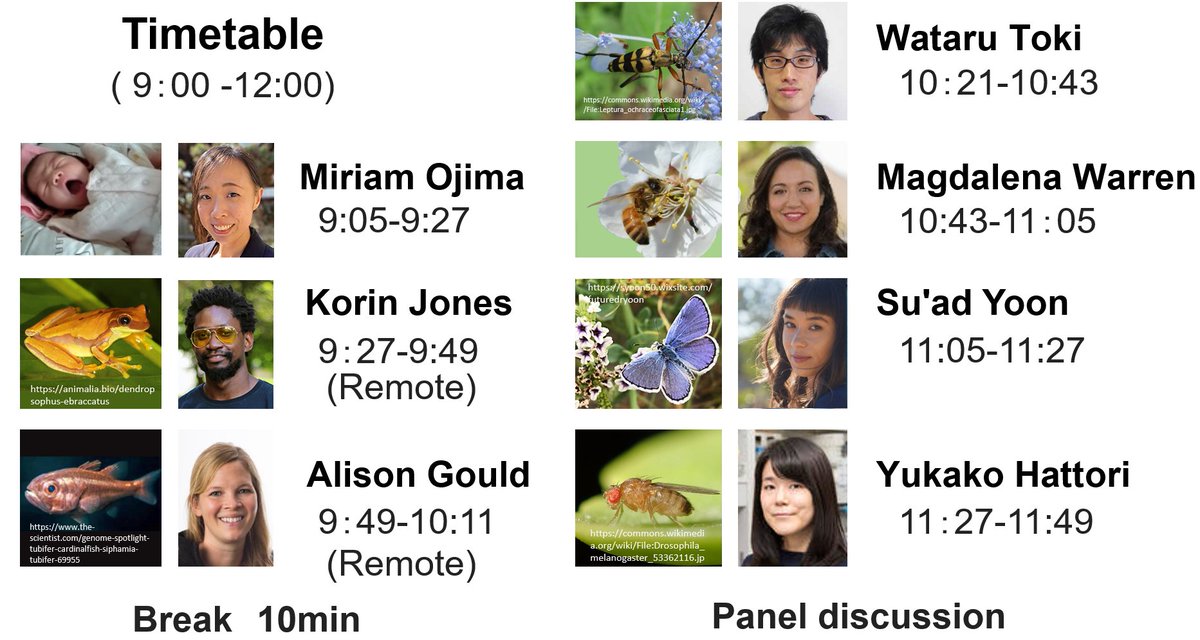 'Ecology of Host-Symbiont Interactions' symposium to be held soon on March 19, 2024 at Ecological Society of Japan meeting (@ESJmeeting), organized with @KaoruTsuji Abstracts: esj.ne.jp/meeting/abst/7… @MiriamOjima, @KorinRex, @algould40, #ESJ71
