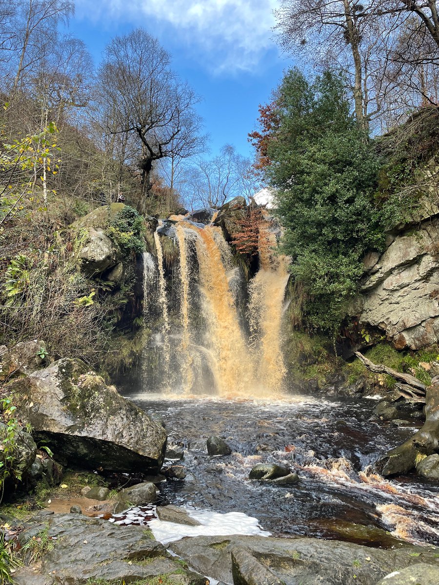 Yorkshire Dales National Park tweet media