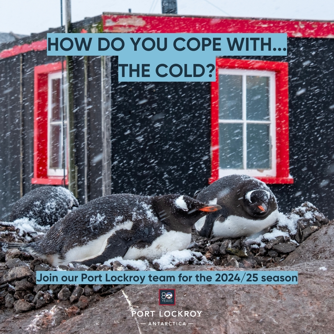 We are now recruiting the following roles for the 2024/25 season! 🐧📮🇦🇶

1 x Base Leader
1 x Shop Manager
3 x General Assistants

👉Apply here: careers.ukaht.org/jobs 
📆 Deadline: 18 March 2024
📸 Jérôme Viard/UKAHT