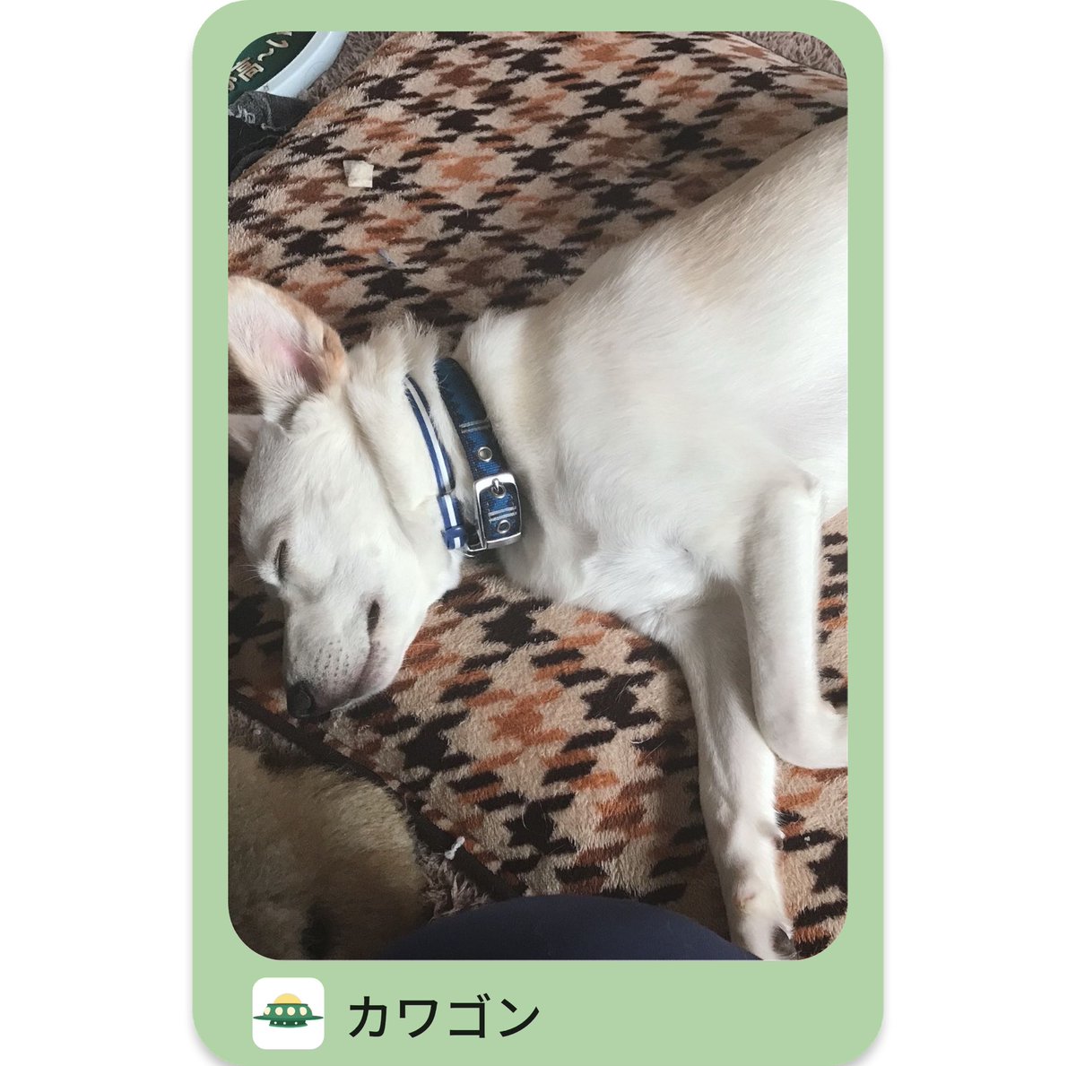 Yuya_River's tweet photo. https://t.co/b4OGRQ2OWl