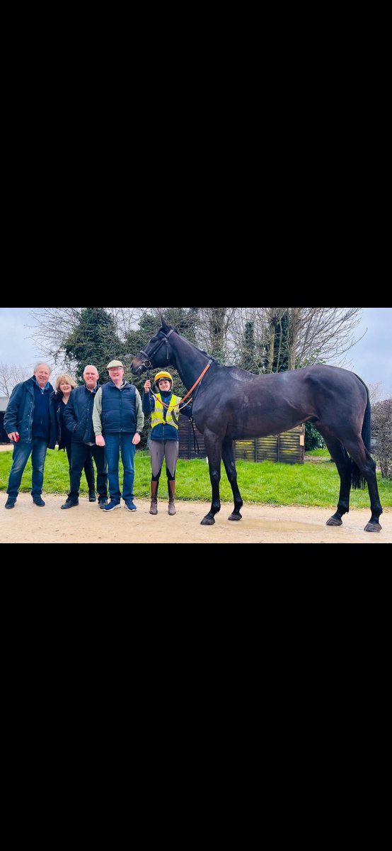 ProspectRacing's tweet image. Roe And Co looking great @jamiesnowden on the gallops earlier this week