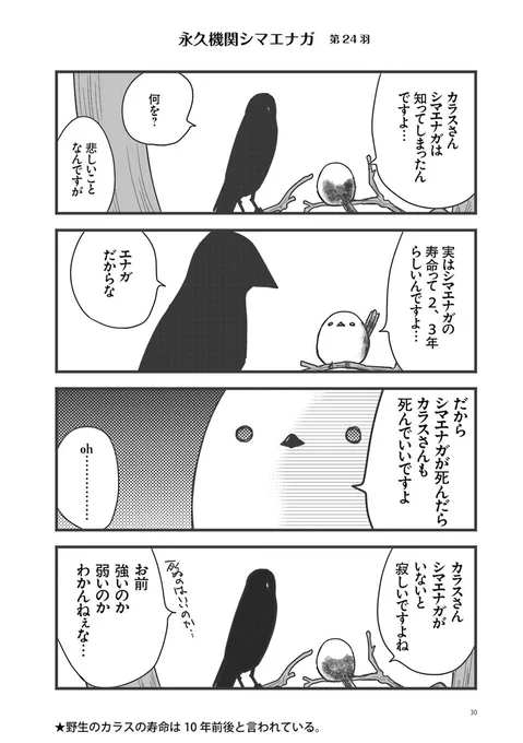 🌸✨永久機関シマエナガ✨🌸
✨コミックス最新刊発売記念✨
✨ ⌚8:00/18:00⌚ ✨
✨シーズン1 毎日再配信中✨

#永久機関シマエナガ
#シマエナガとカラスさん

【シーズン1/第24羽】 