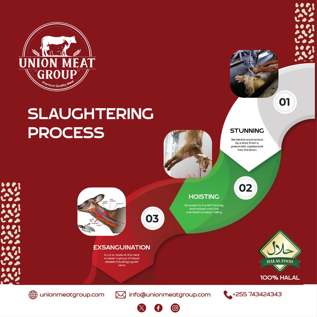 unionmeatgroup's tweet image. Discover the precision and care behind every step at Union Meat Group's. From shackling to sticking and bleeding, each stage is meticulously executed to guarantee the highest quality products for our customers. 🐮✨ #UnionMeatGroup #AbattoirProcess #EthicalSlaughter #QualityMeat
