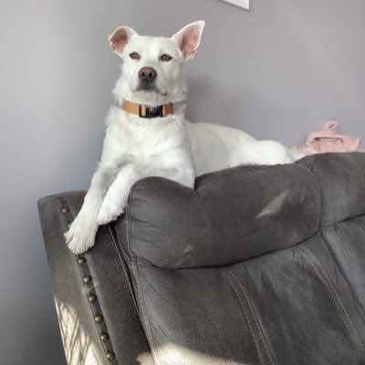 #NewProfilePic