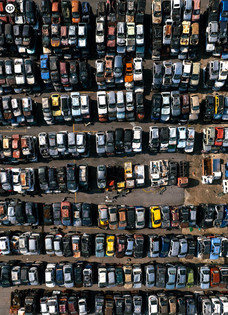 Heartpatrick tweet media