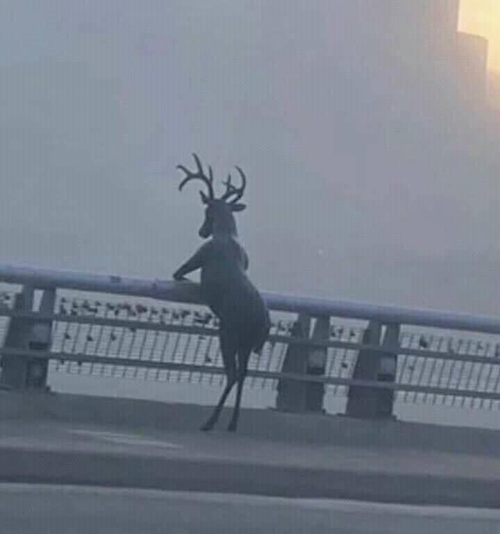 Whotfismick's tweet image. idk what he going through but i feel him