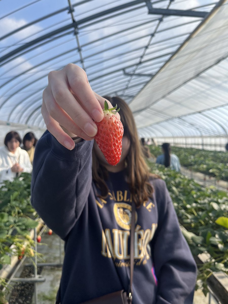 イチゴ狩り🍓 #もうお腹パンパン