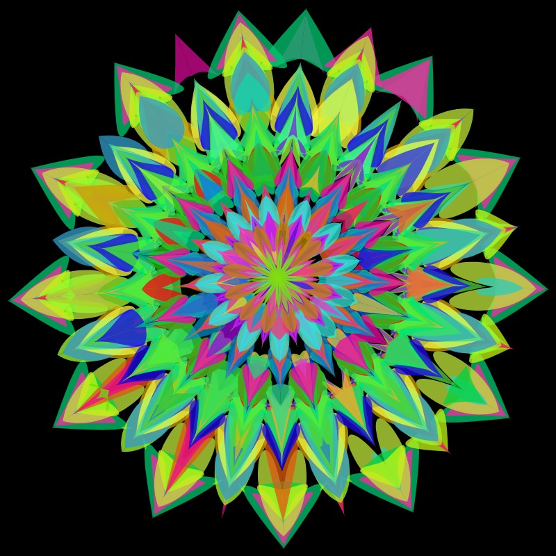 Mandala | #DMT tweet media
