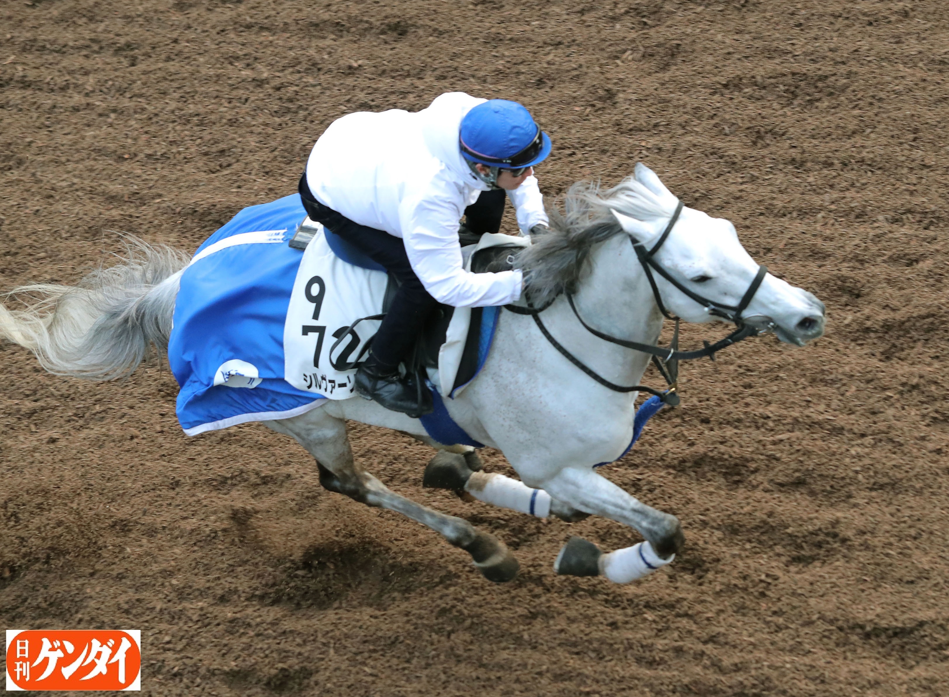 レッドスパーダ　実使用ゼッケン　競馬 レッドスパーダ 実使用ゼッケン 競馬 Yahoo!オークション