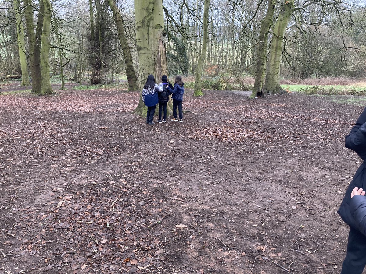 7R  during Forest School, tree identification #challengeyourself <a href="/AldersleyHighSc/">AldersleyHighSchool</a>