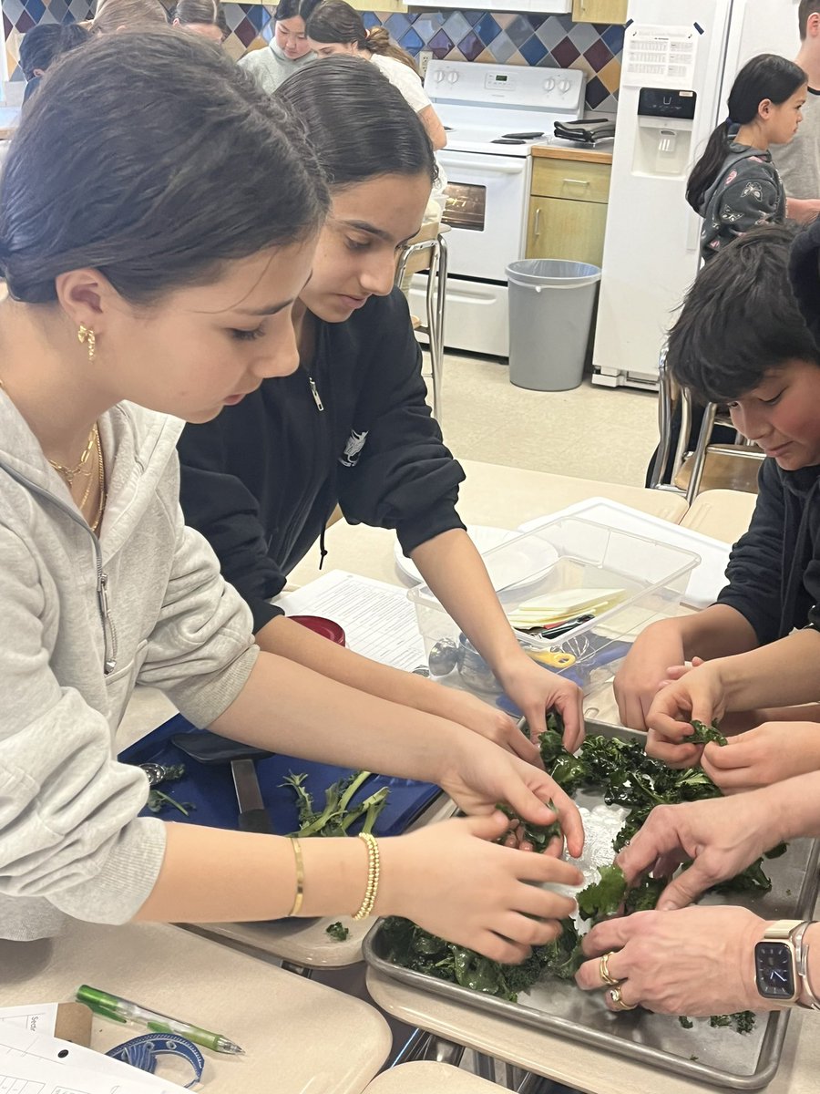 6th graders learn how to roast using kale chips grown next door in the Bell Hydroponics Lab. #EatLocal #ReallyLocal #WeAreChappaqua #BellBulldogs #CulinaryArts
