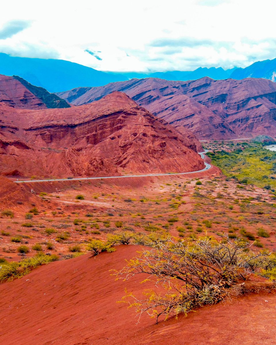 Guido Rodriguez tweet media