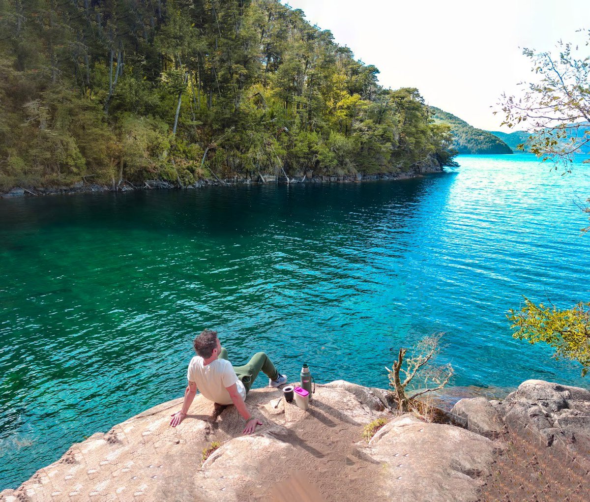 Guido Rodriguez tweet media