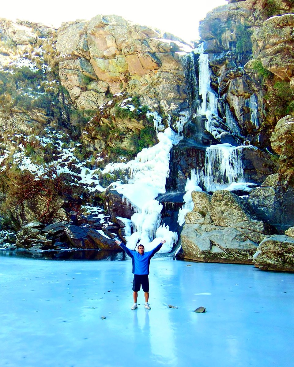 Guido Rodriguez tweet media