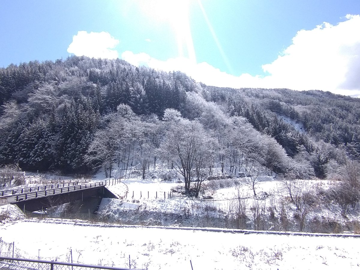 kawarashima's tweet photo. 3月最後の雪景色になってほしいですね

＃大鹿村
＃雨雪境界 https://t.co/7R9oibRpWG