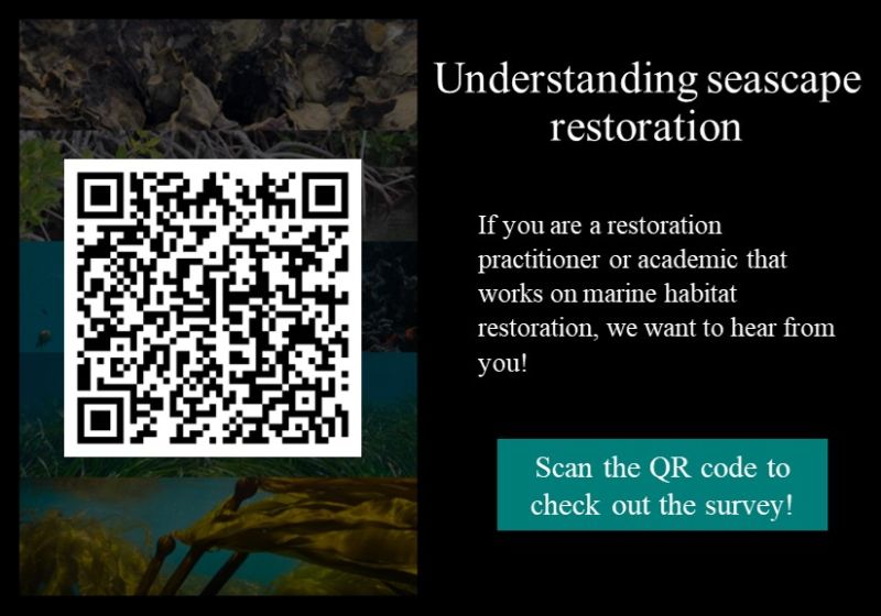 📢 Are you a marine restoration practitioner? Our seascape restoration survey will be closing soon, but we'd LOVE to get some more responses from restoration practitioners.➡️lnkd.in/gBwnXvij 📢Please share with a restoration practitioner in your life!👭 🪸🦪🐠🦦🌿