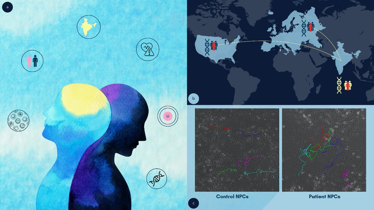 #BrainAwarenessWeek2024 Day 3 We present an article about @BijuViswanath13 and his team's work on variations among patients living with bipolar disorder: indiaalliance.org/news/baw-biju Story: @anoooshka_ Illustration: @kad_leidoscope @DBTIndia @wellcometrust @cbmnimhans @NIMHANS_BLR