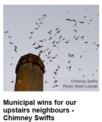 Birds Canada - Ontario Region tweet media