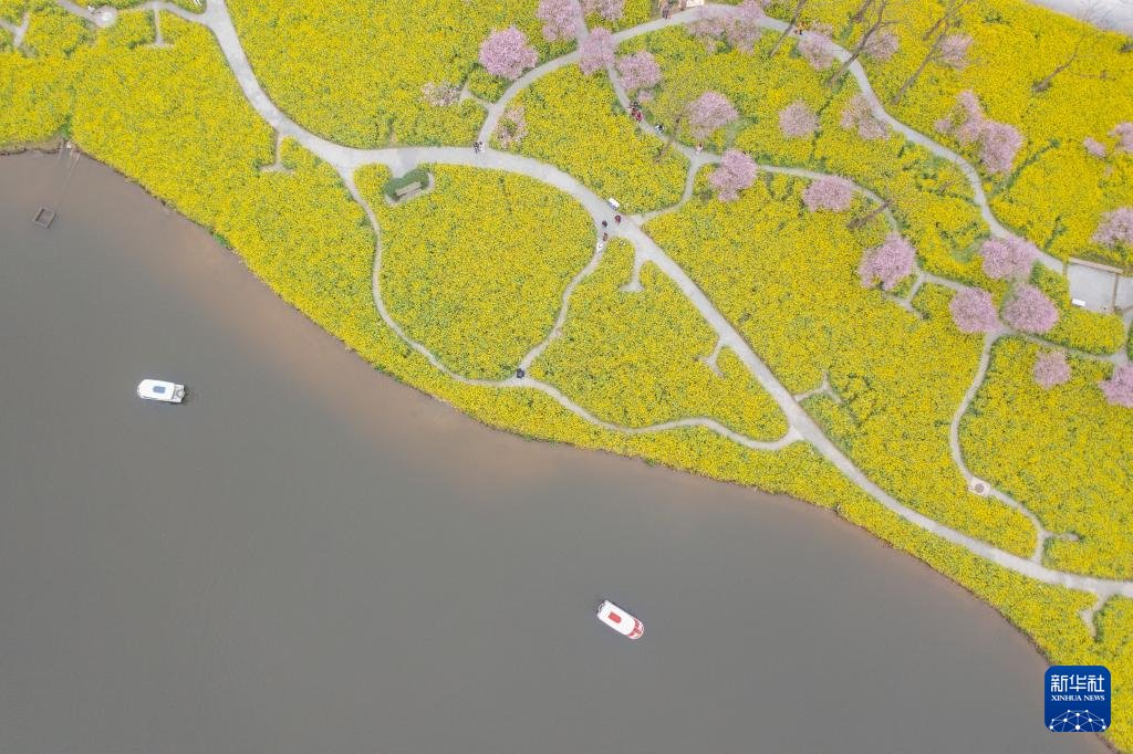 iChongqing_CIMC's tweet image. Over 300 acres of Rape Flowers bloom to welcome spring in Chongqing's Banan District, drawing tourists for a splendid view. 🌼🌱 
Source: Xinhua News

#SpringBloom #Chongqing #FlowerTourism #Travel