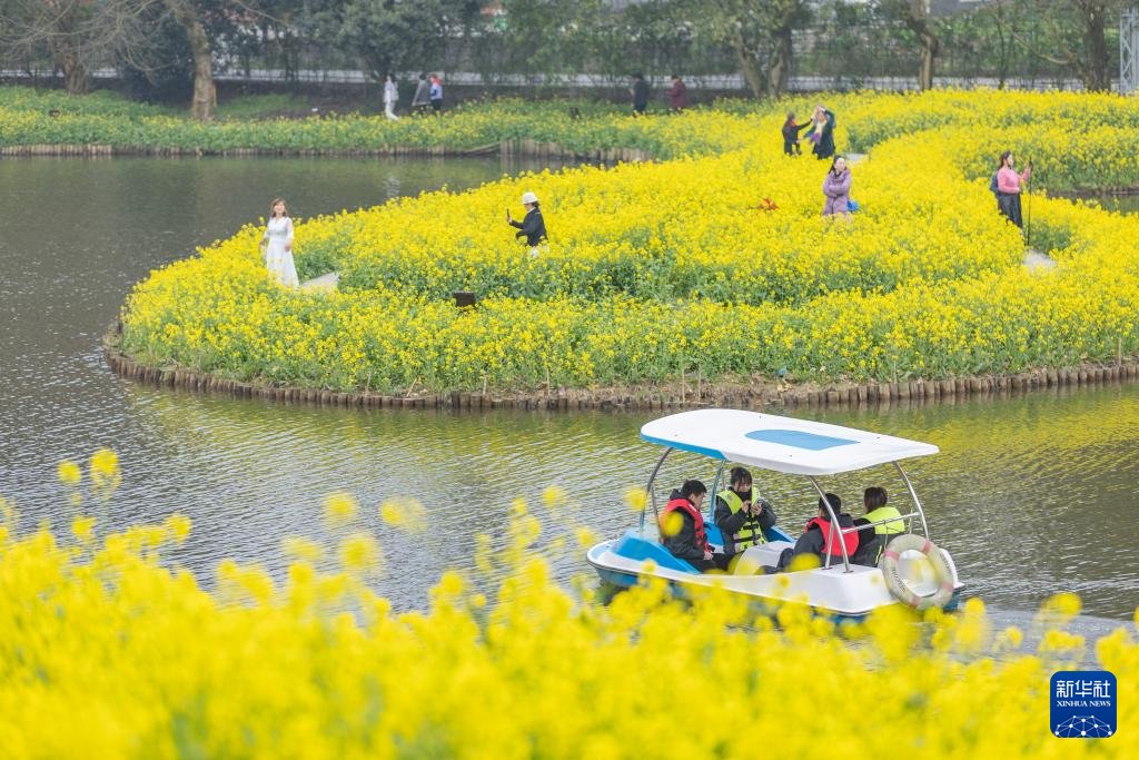 iChongqing_CIMC's tweet image. Over 300 acres of Rape Flowers bloom to welcome spring in Chongqing's Banan District, drawing tourists for a splendid view. 🌼🌱 
Source: Xinhua News

#SpringBloom #Chongqing #FlowerTourism #Travel