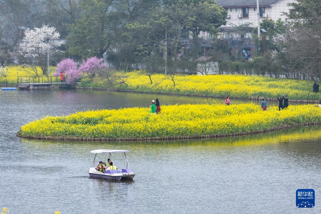 iChongqing_CIMC's tweet image. Over 300 acres of Rape Flowers bloom to welcome spring in Chongqing's Banan District, drawing tourists for a splendid view. 🌼🌱 
Source: Xinhua News

#SpringBloom #Chongqing #FlowerTourism #Travel