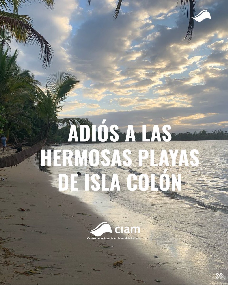 CIAM Panamá tweet media