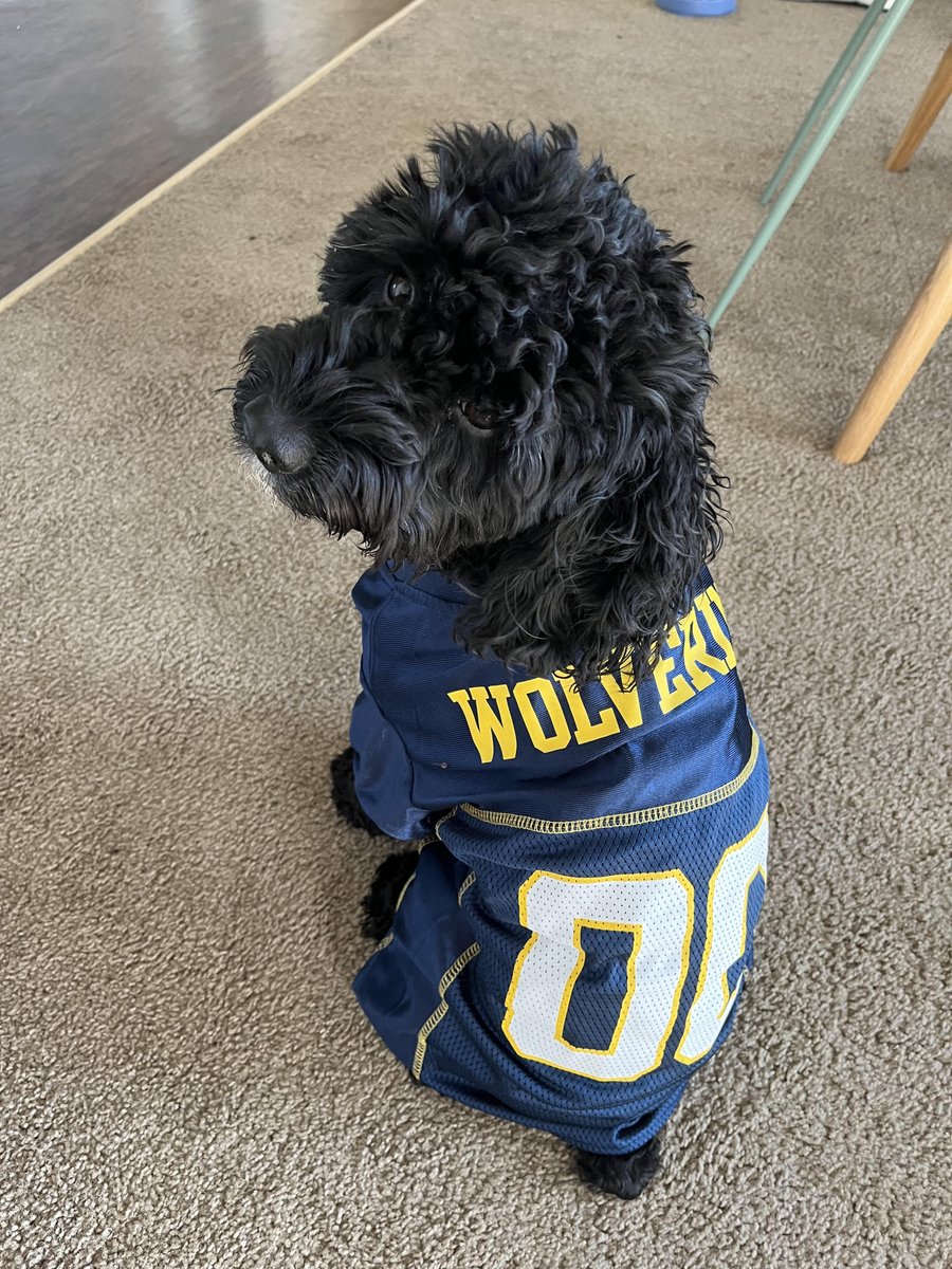 Michigan Robotic Submarine tweet media