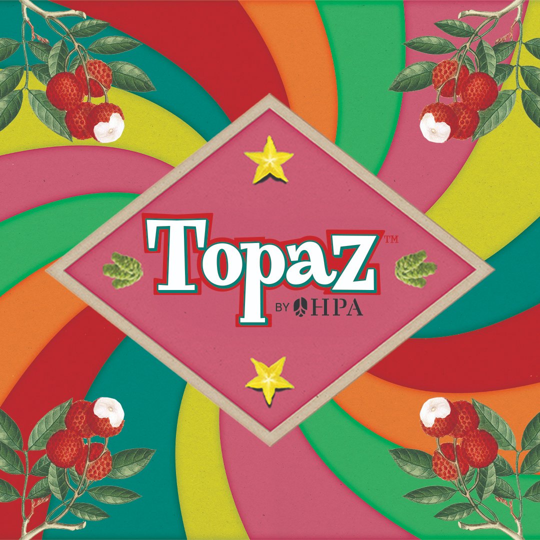 HopProductsAus's tweet image. Now harvesting Topaz™! Created by HPA's hop breeding program in 1985 through a cross-pollination of high alpha Australian and Wye College hops, Topaz™ was commercialised in 1997. It's a sunny ray of sweet-sour lychee and tropical fruit.
 #aussiehops #aussiehopharvest