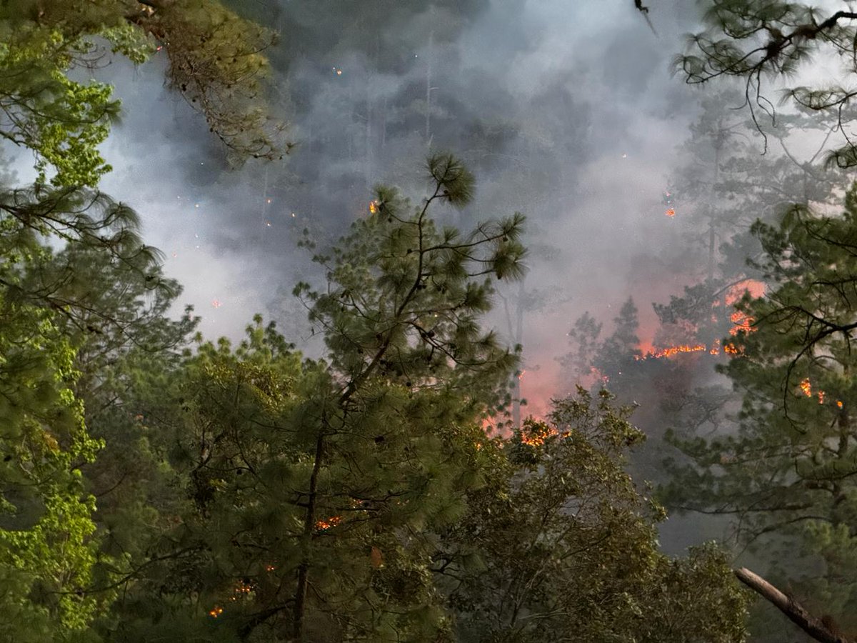 CopecoHonduras1's tweet photo. 📍En La Tigra, FM
Pese a las fuertes llamas🔥, las brigadas de la #URI, #ICF y #AMITIGRA, proceden a esta hora del martes 12 de marzo, a realizar rondas en plantelón Cofradías, para evitar que más flora🌳🌲 y fauna 🐰 se pierdan producto del incendio forestal, #CONAPROFOR https://t.co/NY62GacHzJ