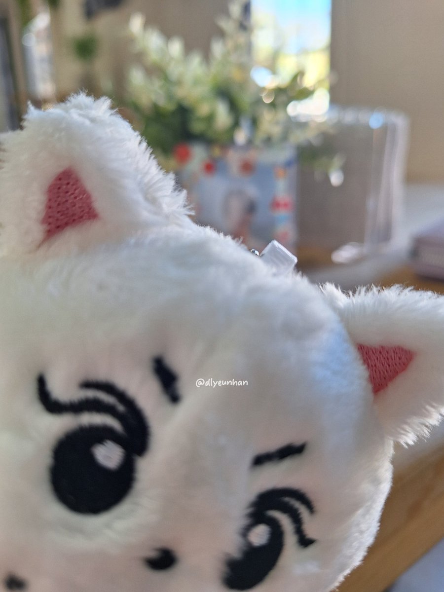 dlyeunhan's tweet photo. /240312/ ☁️ the day i adopted yaongwon. 

it's my child, everyone. https://t.co/GSaYqd0vxy