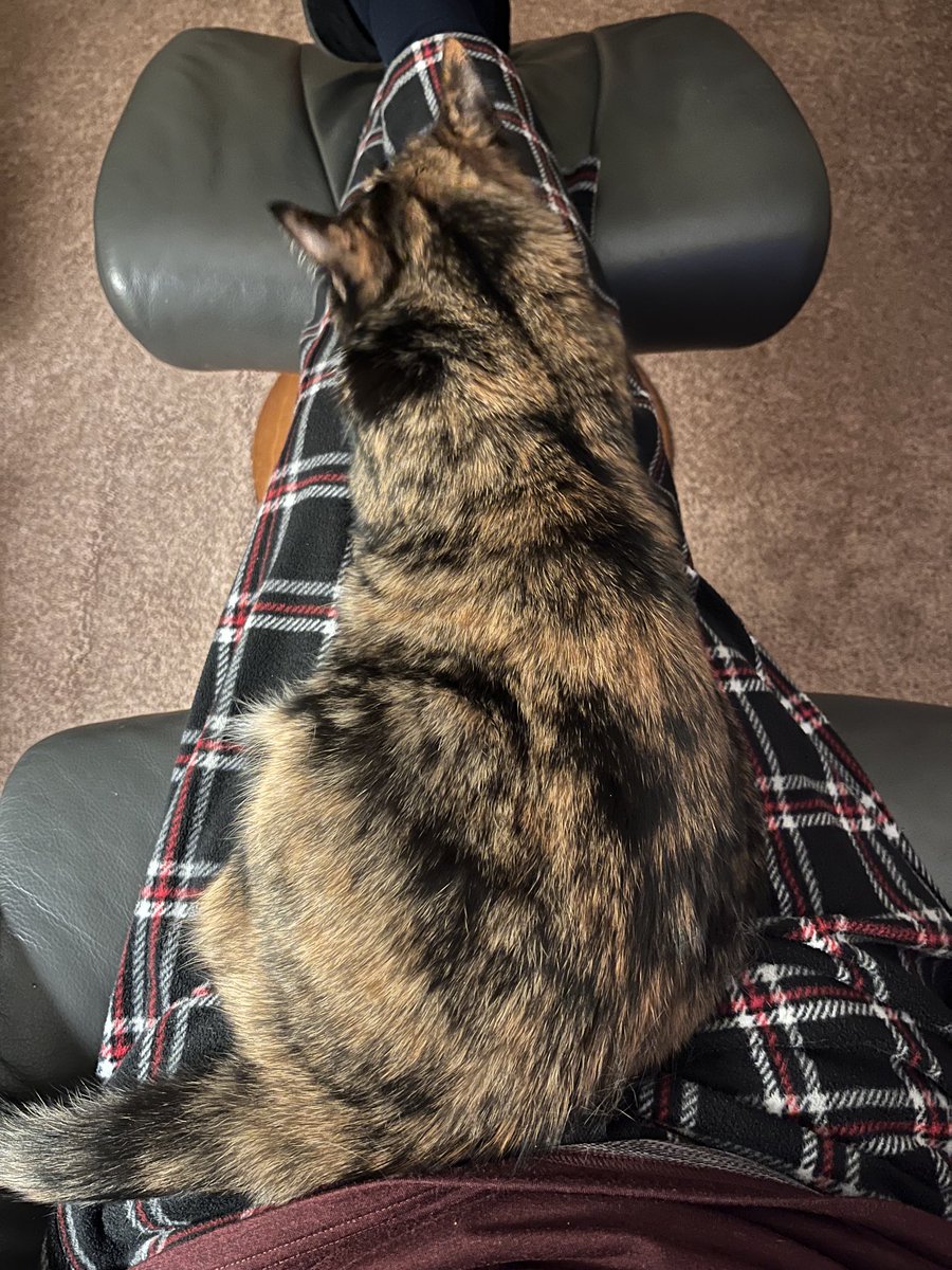After a 2-night absence (at meetings) we’re back and I think it took Buttercup all of 30 minutes after I sat down to settle on my lap. The 2-days were fabulous and productive but it is good to be back.