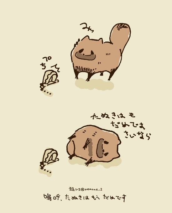 たぬきと罠 