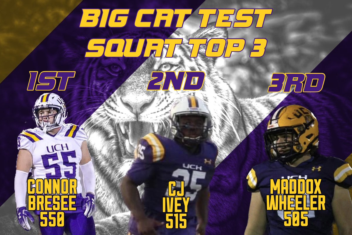 TOP 3 Squats during Today’s big cat tests!!