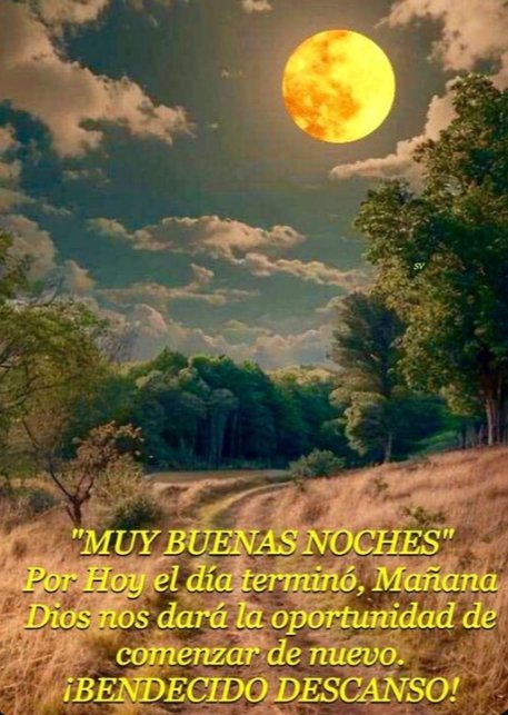 Lety_Castro_S's tweet photo. Buenas noches!!🤗🌼💕 https://t.co/9mLLnkmS04