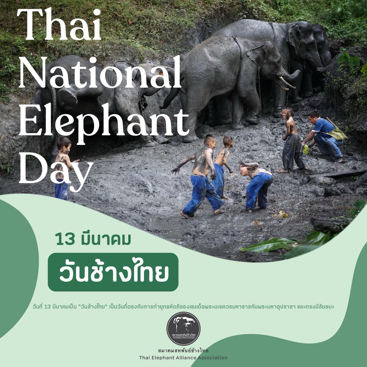 สวัสดีวันช้างไทย ขอให้ช้างทุกเชือก ทุกตัว มีความสุข สุขภาพแข็งแรงและอยู่สืบสายพันธุ์ให้ลูกหลานชาวไทยได้ช่วยกันดูแลต่อไปค่ะ 🥰🐘
#วันช้างไทย
#สมาคมสหพันธ์ช้างไทย