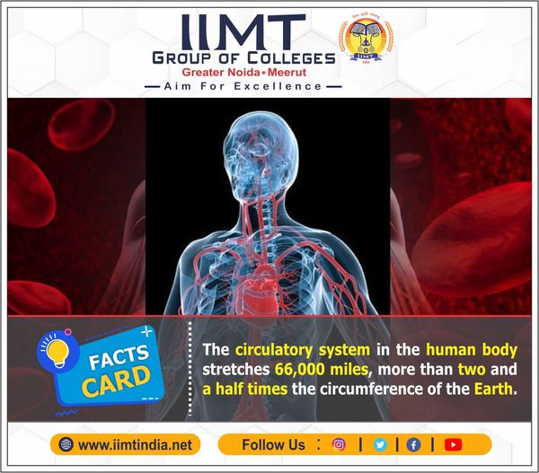 iimtnoida's tweet photo. FACTS CARD
The circulatory system in the human body stretches 66,000 miles, more than two and a half times the circumference of the Earth.
.
https://t.co/UOh7RIbr6l
Call Us: 9520886860
.
#FactsCard #KnowTheFact #IIMTIndia #IIMTian
#IIMTNoida #Admissionopen #IIMTDelhiNCR https://t.co/DqGutHTyTo