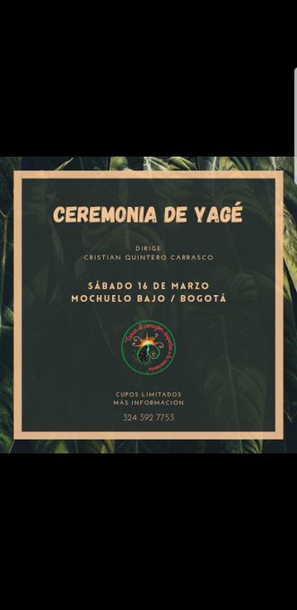 #yage #ayahuasca #Colombia https://t.co/Y6V4EGMzKd<a href="/tag/yage"class="tags">#yage</a><a href="/tag/ayahuasca"class="tags">#ayahuasca</a><a href="/tag/colombia"class="tags">#Colombia</a>