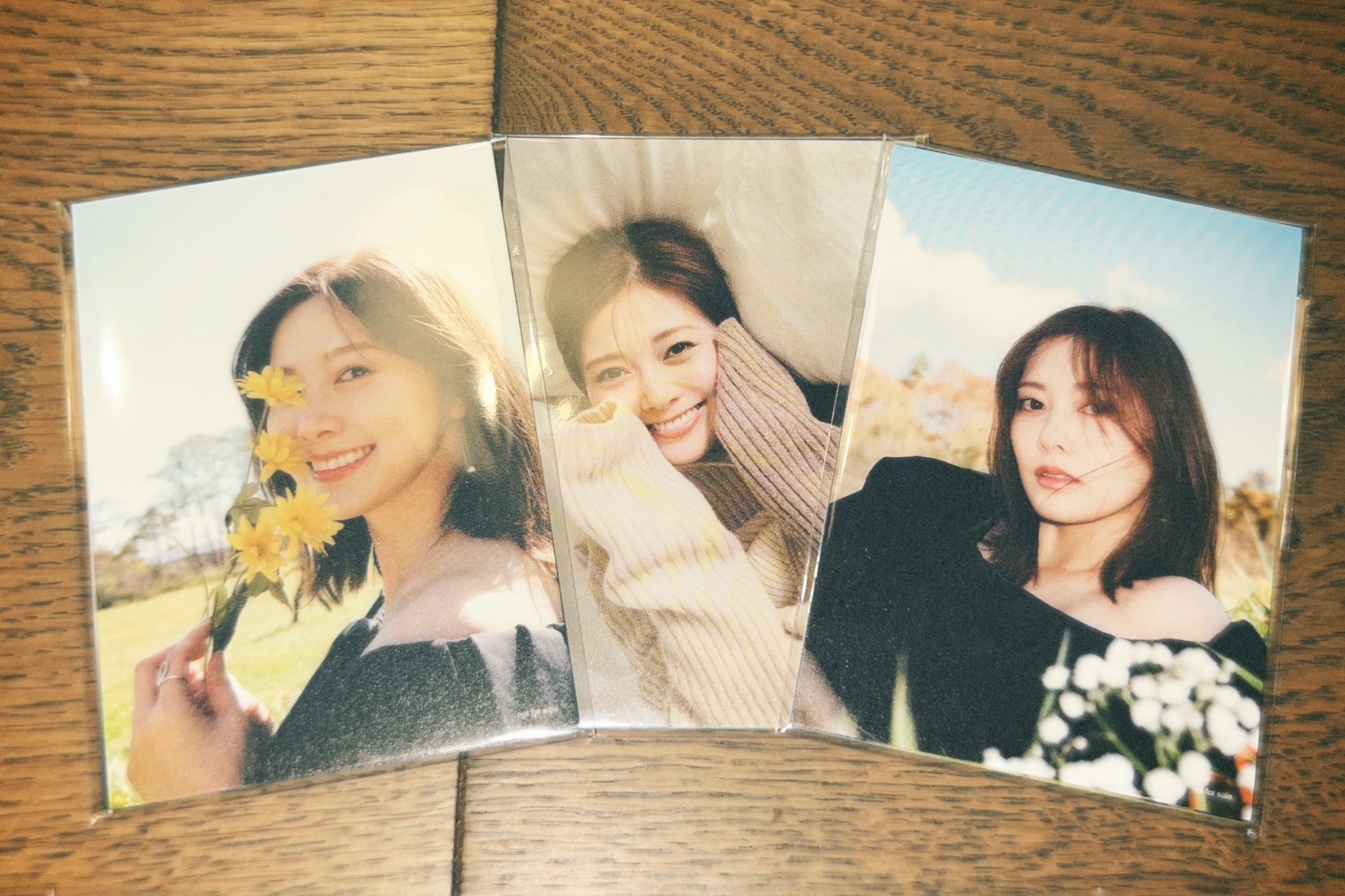 乃木坂46 生写真 白石麻衣 2013.2.22 乃木ポロ ポロシャツ 乃木坂46