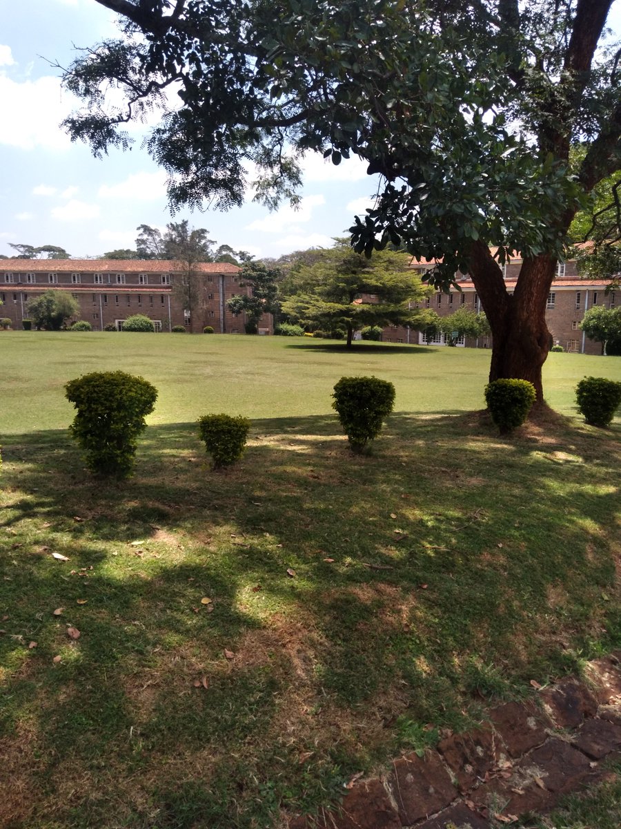 GeorgeAdon96301's tweet image. Wednesday returning to the path for development toward the positive possibilities.

#CBNC

#Accounting 

#authorcommunity