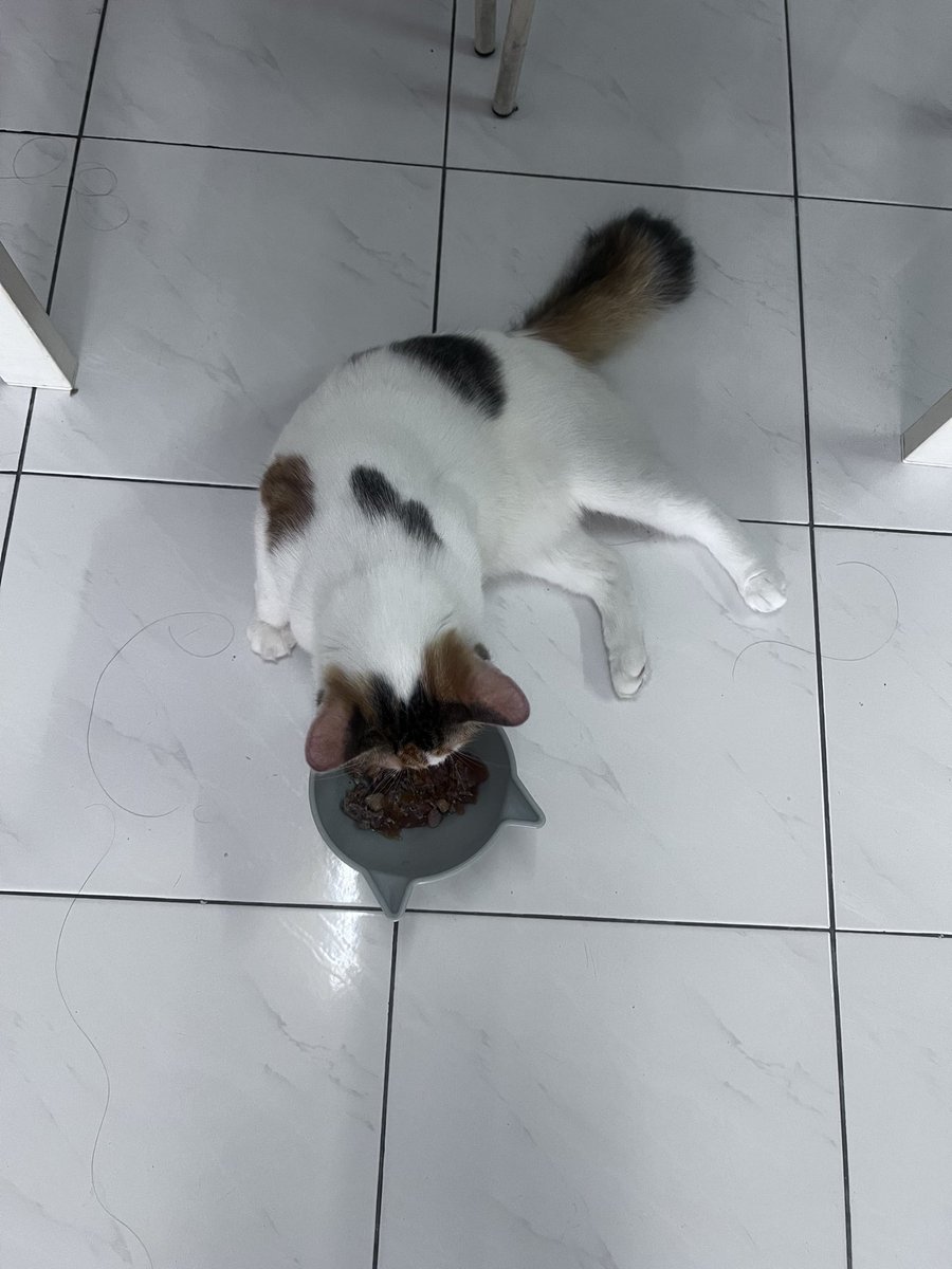 thinahalang's tweet photo. @pelisahh Nak sahur tapi still mengantuk 😅 https://t.co/aSVtjj7wOG