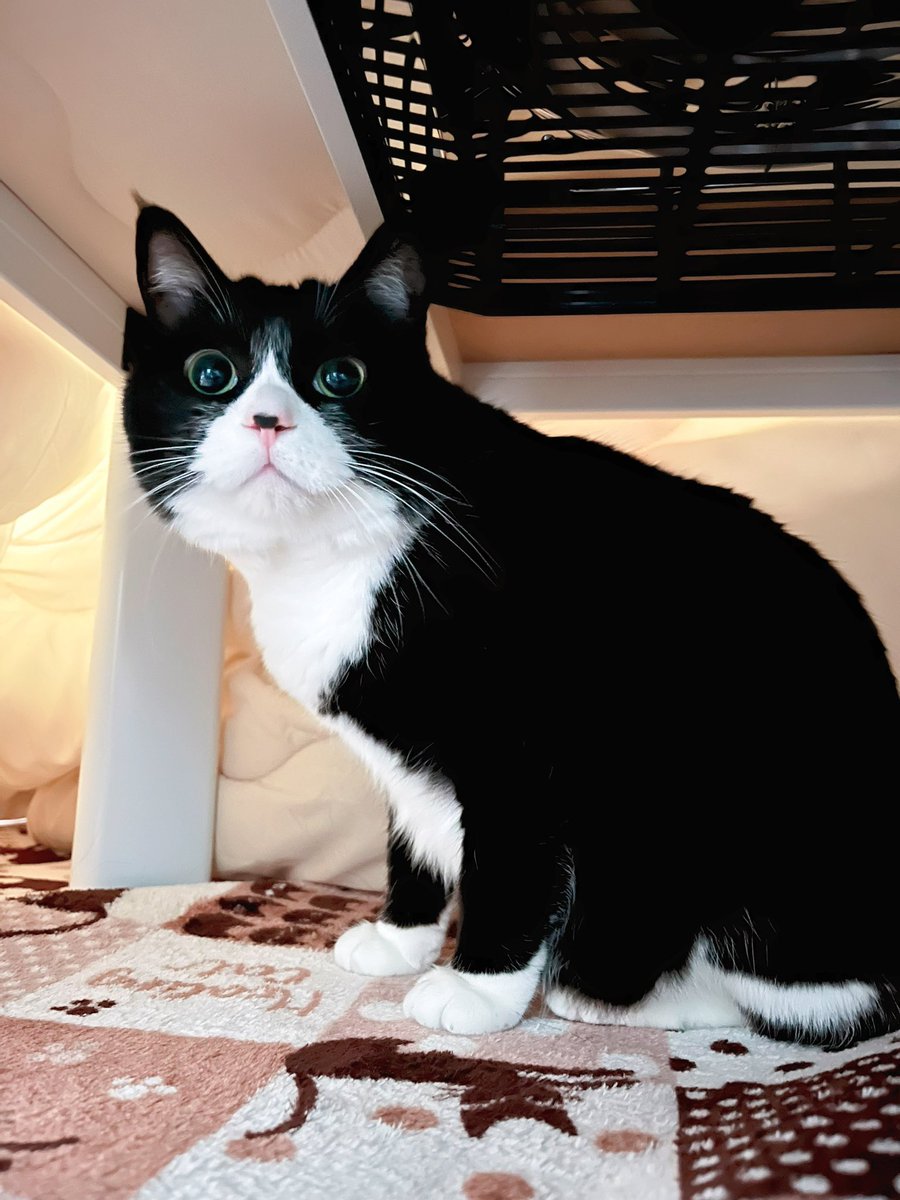 こにゃにゃちわ😻💖