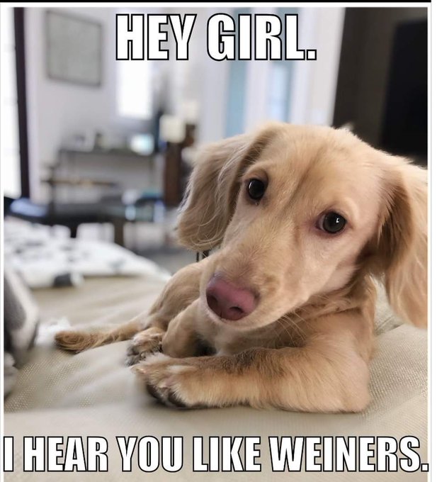 Yep https://t.co/WMdvOEYHtq<a href="/tag/mauistrong"class="tags"><span>#mauistrong</span></a>