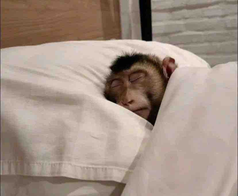 Me voy a dormir cualquier cosa no me importa.