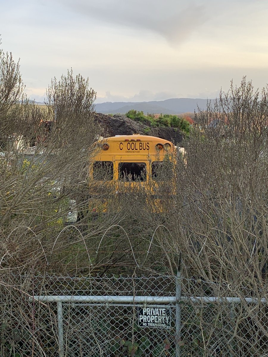 My kind of bus 😎