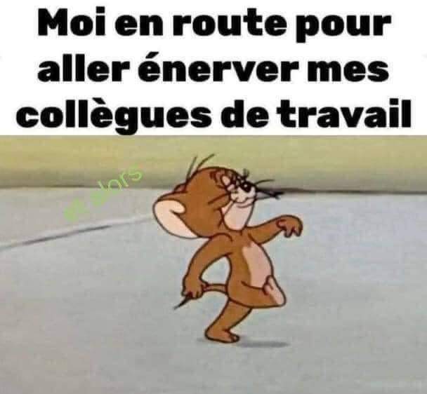 Jour 73
Dans la joie et la bonne humeur🤣
<a href="/Fragritwittos/">FranceAgritwittos♥️</a> <a href="/Agridemain/">#agridemain</a> <a href="/Les_Elles_Terre/">LES ELLES DE LA TERRE 👩‍🌾👩‍🌾👩‍🌾👩‍🌾💪👌</a> @Agrisontducoeur <a href="/AudeVisine/">Marie-Aude VISINE</a> <a href="/agrimaman71/">Agrimaman71</a>